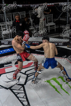 BESTIA FIGHTING CHAMPIONSHIP 7
