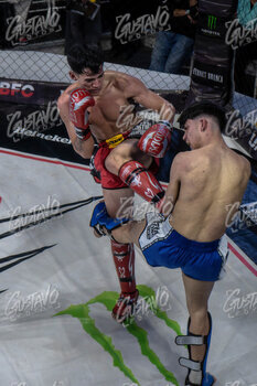 DSC06474.jpg36