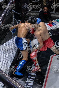 DSC06637.jpg33