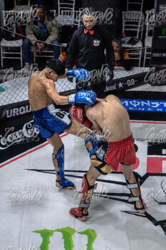 DSC06640.jpg36