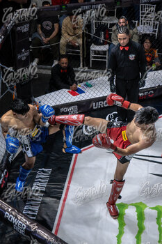 DSC06642.jpg38
