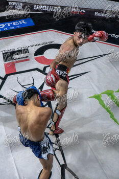 DSC06686.jpg20