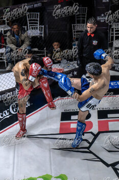 DSC06707.jpg29