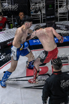 DSC06784.jpg36